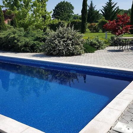 Logement Avec Piscine, Classe 3 Etoiles, De 42 M2 Tout Confort Au Calme Pour Un Couple Cahuzac-sur-Vère Екстериор снимка